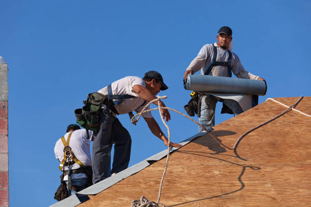 Best Metal Roofing Contractor  in Caledonia, WI